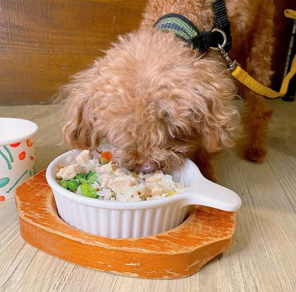 森林小徑大墩店對寵物超友善